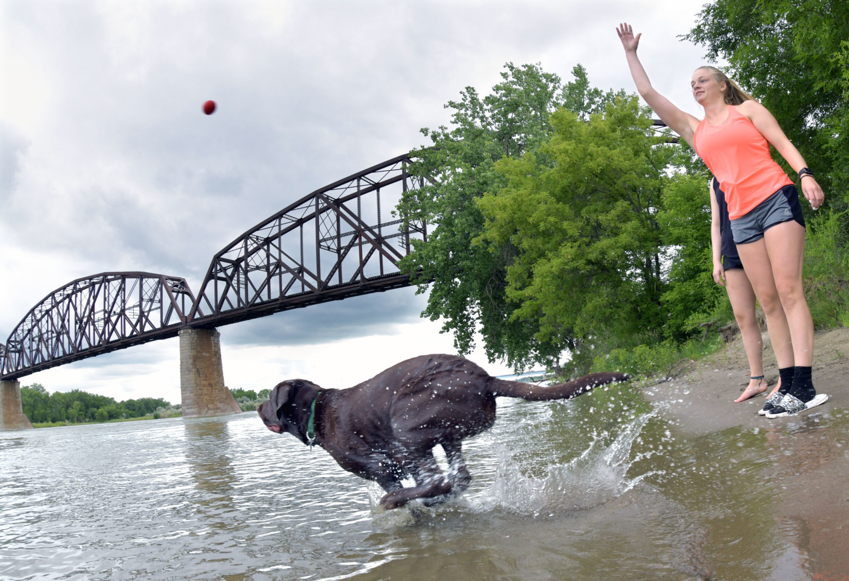 Game of fetch